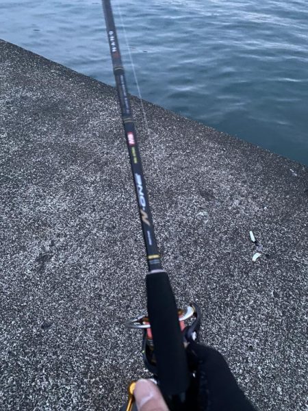 夕マズメアジング