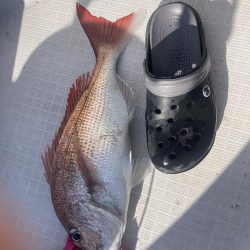 ノッコミはじまり？