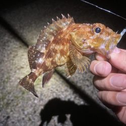 しばらくぶりの北淡エリアっ!