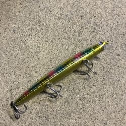 好調なスタート^ ^