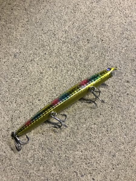 好調なスタート^ ^