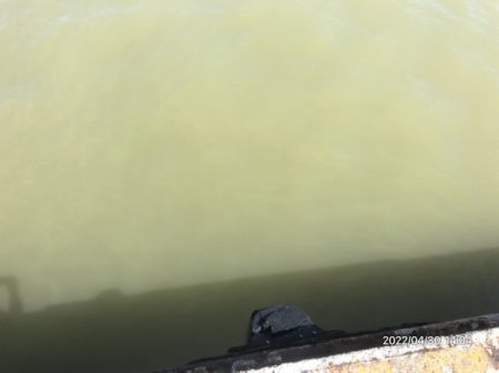 バチ抜けシーバス