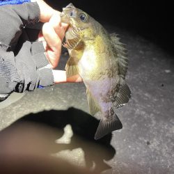 金太郎飴バリング