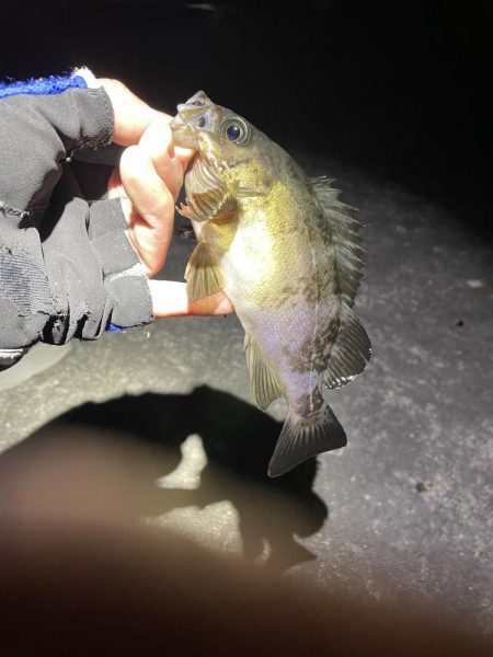 金太郎飴バリング