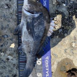 イチノ兄弟、釣果!