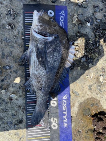 イチノ兄弟、釣果!