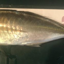 アミパターン対策