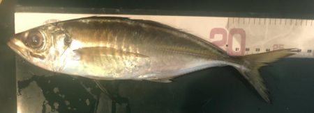 アミパターン対策