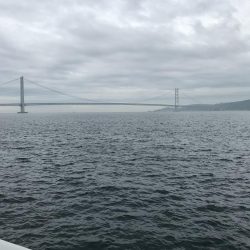 雨が降るまでに