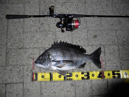 ポツポツと釣れる感じ…