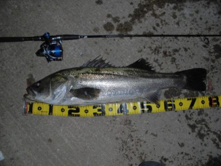 時合いめっちゃ短い…