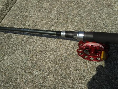 乗っ込みちぬ！ヘチ釣り