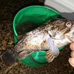 閖上漁港周辺の釣行