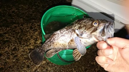 閖上漁港周辺の釣行