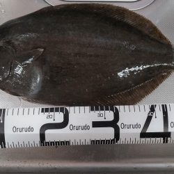 久しぶりの狙い通り！