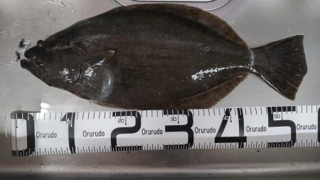 久しぶりの狙い通り！