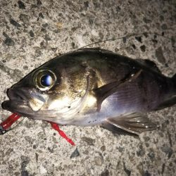 ピンクムーンが邪魔をする