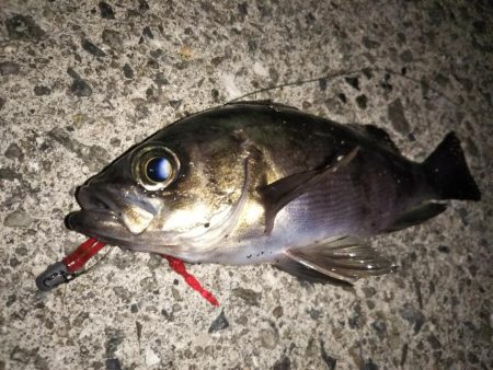 ピンクムーンが邪魔をする