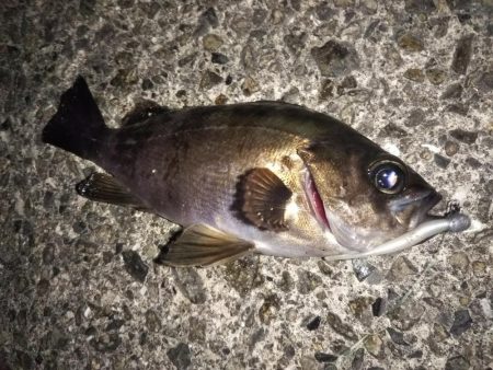 最後の1投で「つ抜け」達成