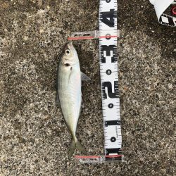 ハッピーハッピー