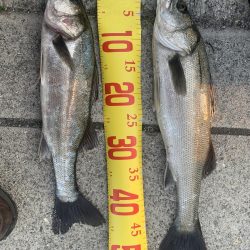 買い物の帰りに寄り道