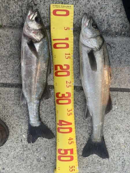 買い物の帰りに寄り道