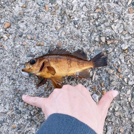 デイメバリング