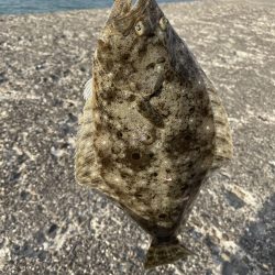 夕方16時過ぎスタート!