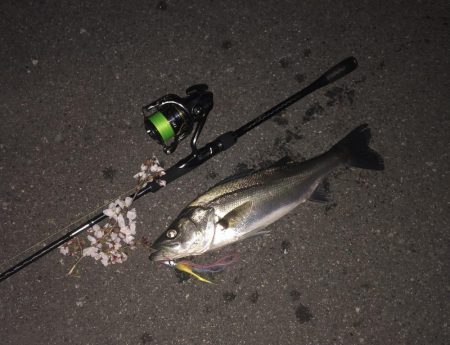 ががっときました。