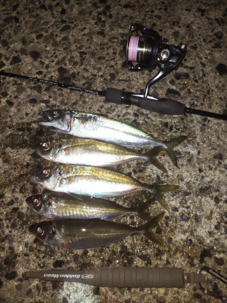 まずまずのマズメアジング