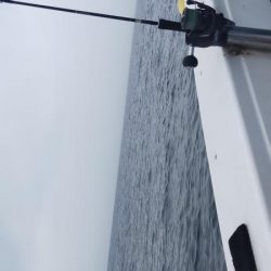 巻き巻きネギング