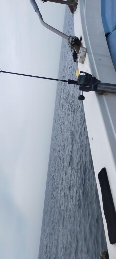 巻き巻きネギング