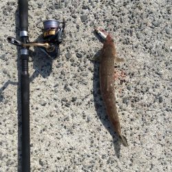 外道に邪魔されながらも大満足の釣果!