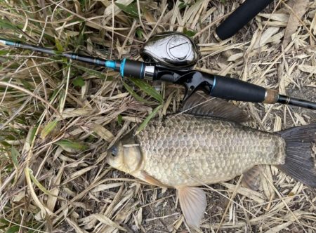 野池でショアジギングタックルでフナ！！
