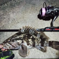 2022/04/11 南港ライトゲーム釣行