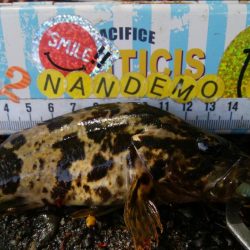 ライトチニングイエロー