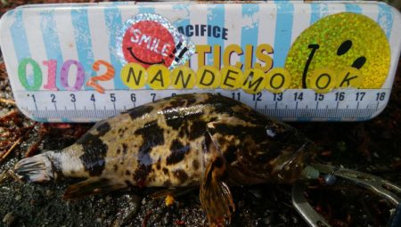 ライトチニングイエロー