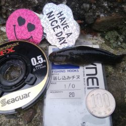 【小物釣り開幕(^^)】