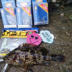 色々な魚が釣れました(^^)