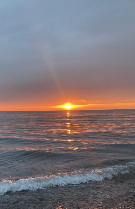 座布団ヒラメ 75センチ