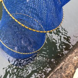 大同川モロコ９４匹自己ベスト