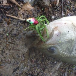 風が吹いたら・・・