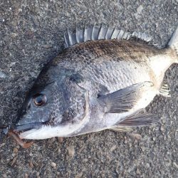 初めての場所でライトワインド調査！