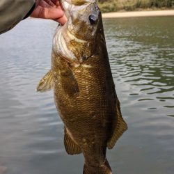 春バス…ちょい厳しめ