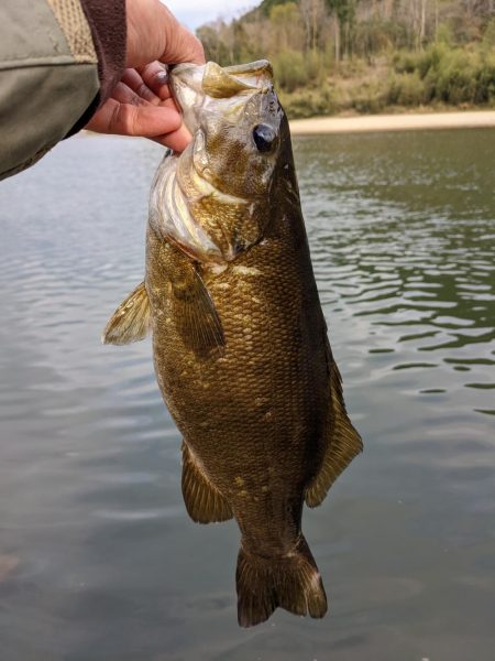春バス…ちょい厳しめ