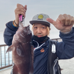 チヌねらいが、コブダイ!