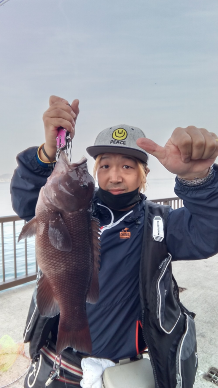 チヌねらいが、コブダイ!