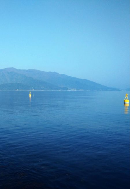 コウイカもサゴシも厳しい