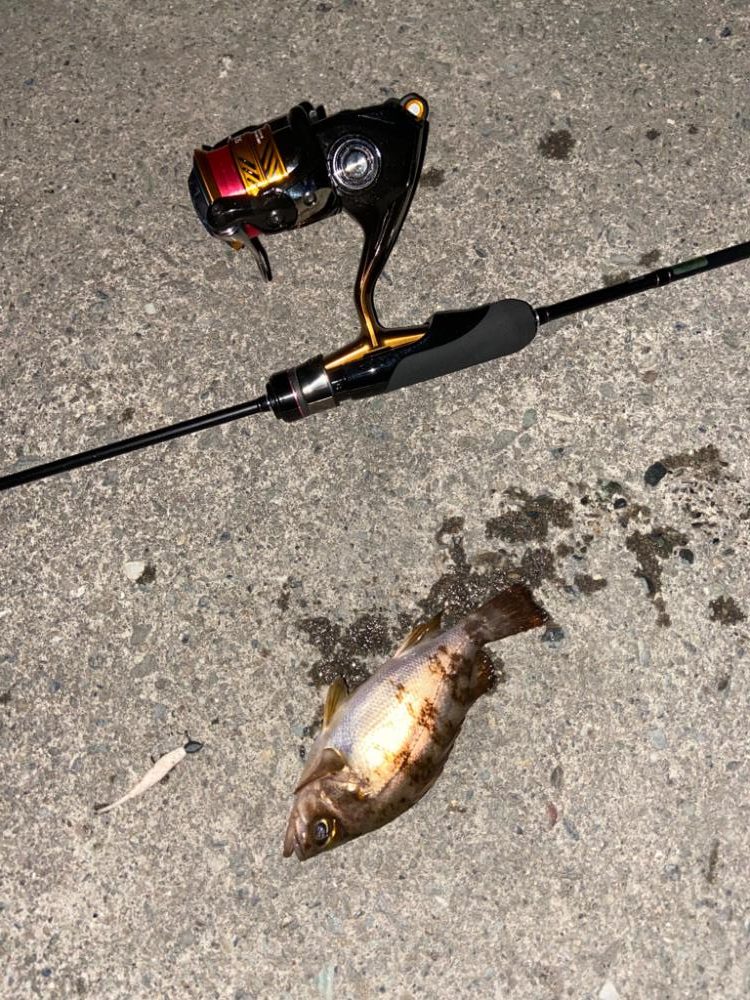 満月でも数釣り