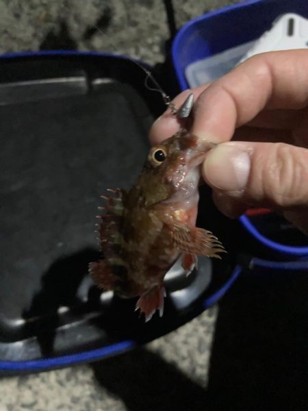 初浜田ライトゲーム！